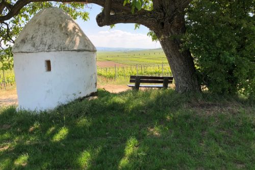 Weinberg-trullo-alzey